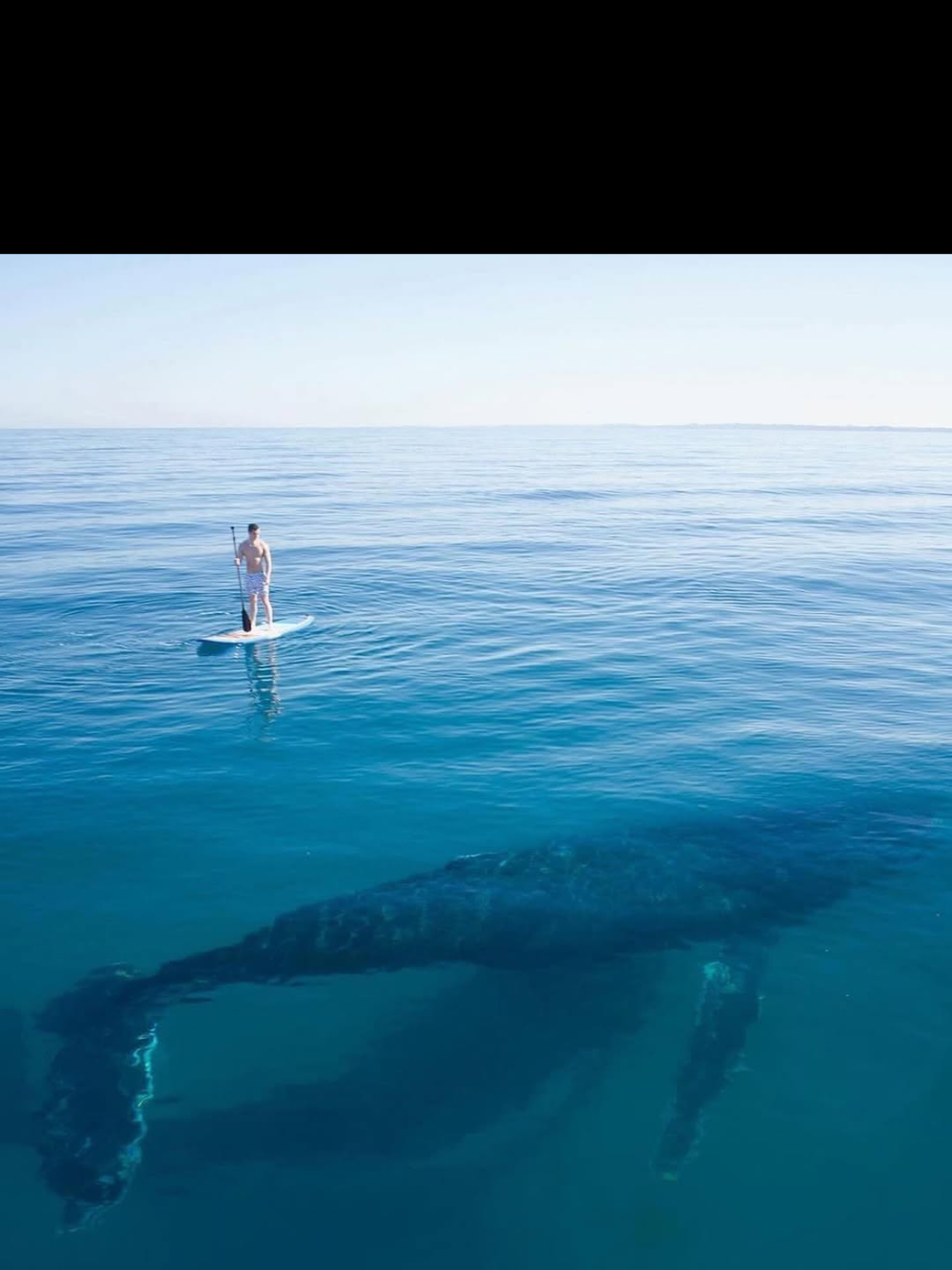 Beautiful Moments Taken Today 😍🌊🐳#naturevideo #naturelover #naturevibes #naturebeauty #oceanbeauty #viralvideo #fyp #foryoupage #nature 