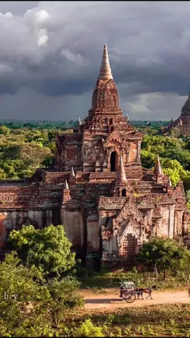 နံနက်ခင်းမေတ္တာပို့တရားတော်#တရားတော်များ #မေတ္တာပို့ 