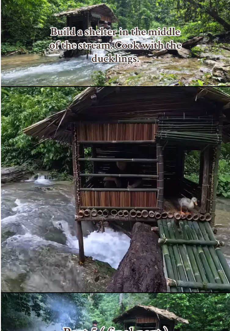 Part 5 | Build a shelter in the middle of the stream. Cook with the ducklings. #survival #bushcraft #forest #camping #survivalskills #cabin #shelter #bushcraftsurvival #msmaysurvival 