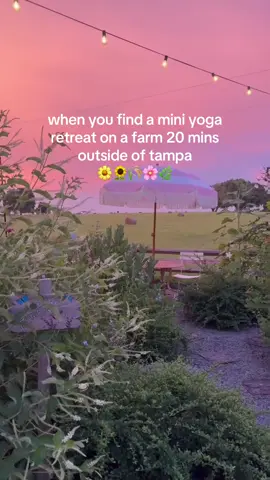 we had the perfect night at @floragrovesfarm 🌷 living out our Hannah Montana movie dreams 🐎  #tampa #tampayoga #tampaevents #tampawellness #tampapopup #wellnessevent 