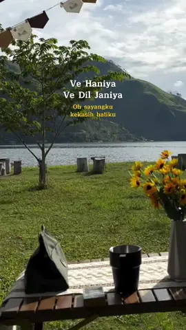 Ve Haniya Ve Dil Janiya❣️ #laguindia #indiasong #indiasongs#vehaniyaan #lirikindia 