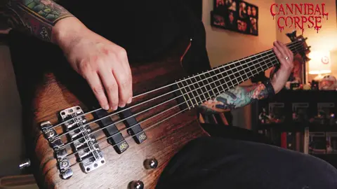 HAMMER SMASHED FACE 😤  #basstok #bassist #bassguitar #ampeg #warwickbass #fyp #practice #baixo #drums #cannibalcorpse #deathmetal #blastbeat #doublebass #drummer 