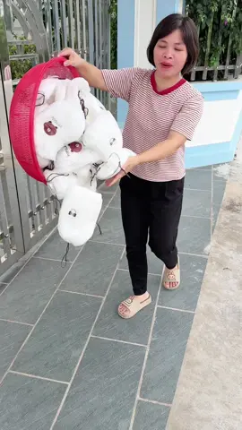 5k/100 màng bọc thực phẩm#tiktokviral #xuhuongtiktok #trandoan #mangboc #mangbocthucpham #mangbocthucphamgau 