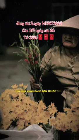 Còn 217 ngày nữa nha mn ơi..! #nhacxuan #nhachaymoingay #tet2026 