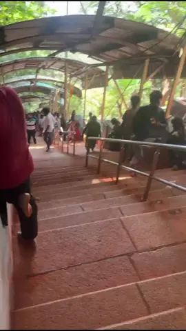 #alipiristeps #3550stepsalpiri #tirupatibalaji #tirumalatirupathidevestanam #tirupatielumalaitour #fyp #fypviral #bleesed😇 