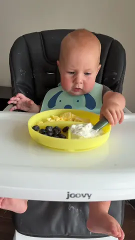 I’m going to try just giving him eggs with nothing else one time and see if he eats them😂 #blw #babyledweaning #babyfood #baby #babies #mom #moms #momtok #MomsofTikTok 