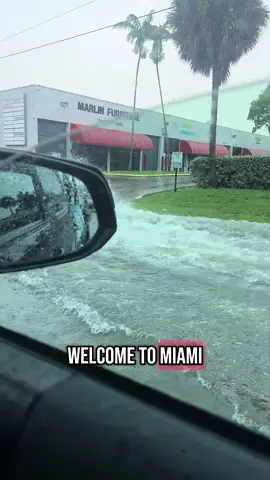 Welcome to Miami  #tiktok #viralvideo #company #pressurewashing #couplegoals #Vlog #parati #softwashing #storytime 