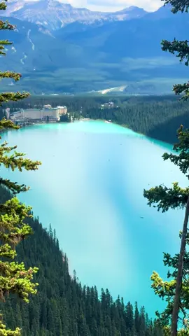 📍Big Beehive Hike, Lake Louise, Canada #lakelouise #canada 