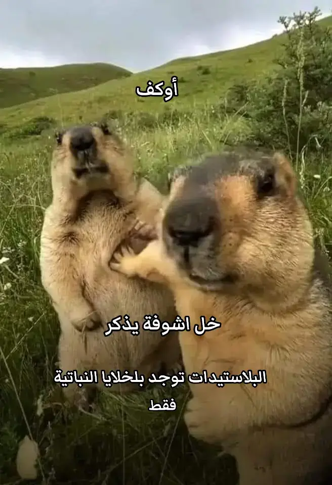 #سادس_علمي #احياء #بدايات_السادس #سادسيون #الفصل_الأول #وزاري #وزاريات 