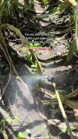 No queiras.🙂‍↔️  #muchachodecampo #viral #rancho 