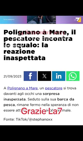 #polignanoamare #squalo #shark #bari #puglia #weareinpuglia #avvistamento #estate2023 #la7 #tv #telegiornale #stephanoxx #pesca #pescatore #pescare #virale #videoviral #viralvideos #videovirale #italia #italy #perte #neiperte #foryoupage❤️❤️ #fyp #parati 