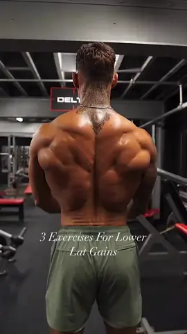 Lat Gains 🔥 Read captions 👇 Transform your body in 8 weeks with our Ultimate Shred Workout Program! 💪 Plus, get exclusive bonuses to supercharge your results. More details: link in my bio! ⬆️ #workoutplan #GymTok #Fitness #workout #bodybuilding