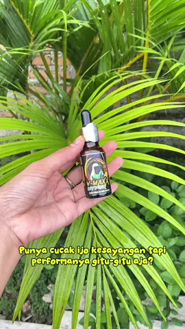 #kicau #kicaumania #vitaminburung 