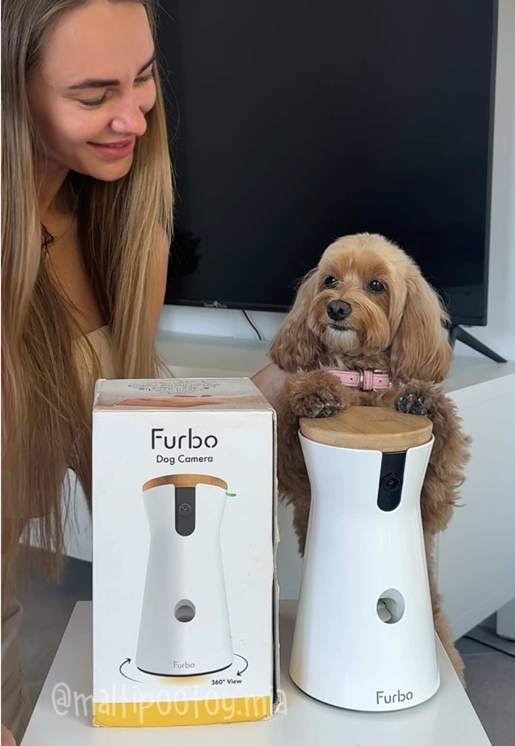 Con Furbo 360° lo segui ovunque, gli parli e gli lanci i biscottini! 🍪💛 E puoi monitorare il suo comportamento da lontano, per assicurarti che stia bene e al sicuro anche quando sei fuori casa. 🧠💚 📣 A luglio su furbo.com ci sono le offerte migliori dell’anno, e con il mio codice MIAFURBO ricevi una sorpresa extra nel carrello per ogni bundle camera + abbonamento Furbo Nanny! 🎁 #Furbo #maltipoo #dogcamera @Furbo Pet Camera 