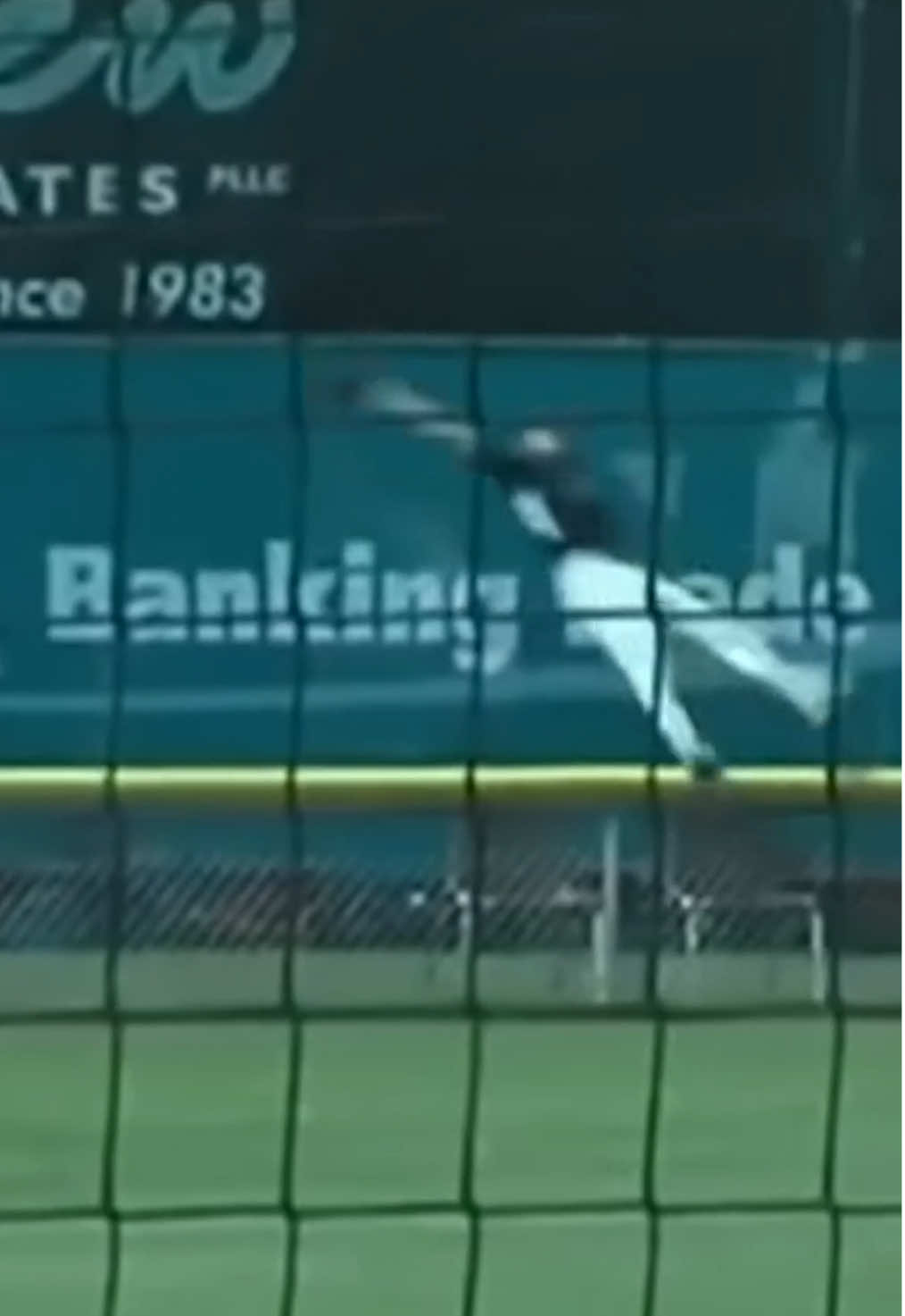 This is the greatest catch in baseball history #MLB #baseball #baseballdoesntexist #catch #highlight #highlights #top10 