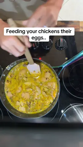 Eggs are rich in protein, calcium, and other nutrients that are especially beneficial for laying hens. Crushed eggs (especially shells) can help replenish lost calcium, which is vital for strong eggshells.  Also, Adding natural seasonings or herbs to chicken feed can improve your flock’s health and support digestion. #fyp #foryoupage #fyppppppppppppppppppppppp #fypシ #trending #viral #chickens #homestead #hens #roosters #flock #eggs #chickensoftiktok 