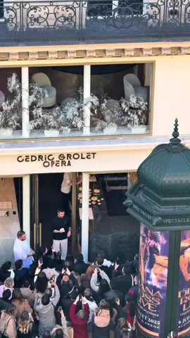 Fleur Citron en fleur 🌼 #cedricgrolet  