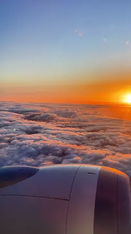Golden hour above the clouds 🌅 #sunsetlover #sunset #skyline #sky #beautiful #aestheticvideos #clouds #plane #fly #airplane #sunsets #fup #fyp #foryou #yourbestshot 