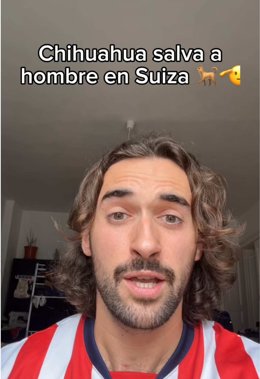 Se rifó el Chihuahua 🐕🫡 . . . #comedia #humor #méxico #chihuahua #latinoamerica #latinosenalemania #latinoseneuropa 