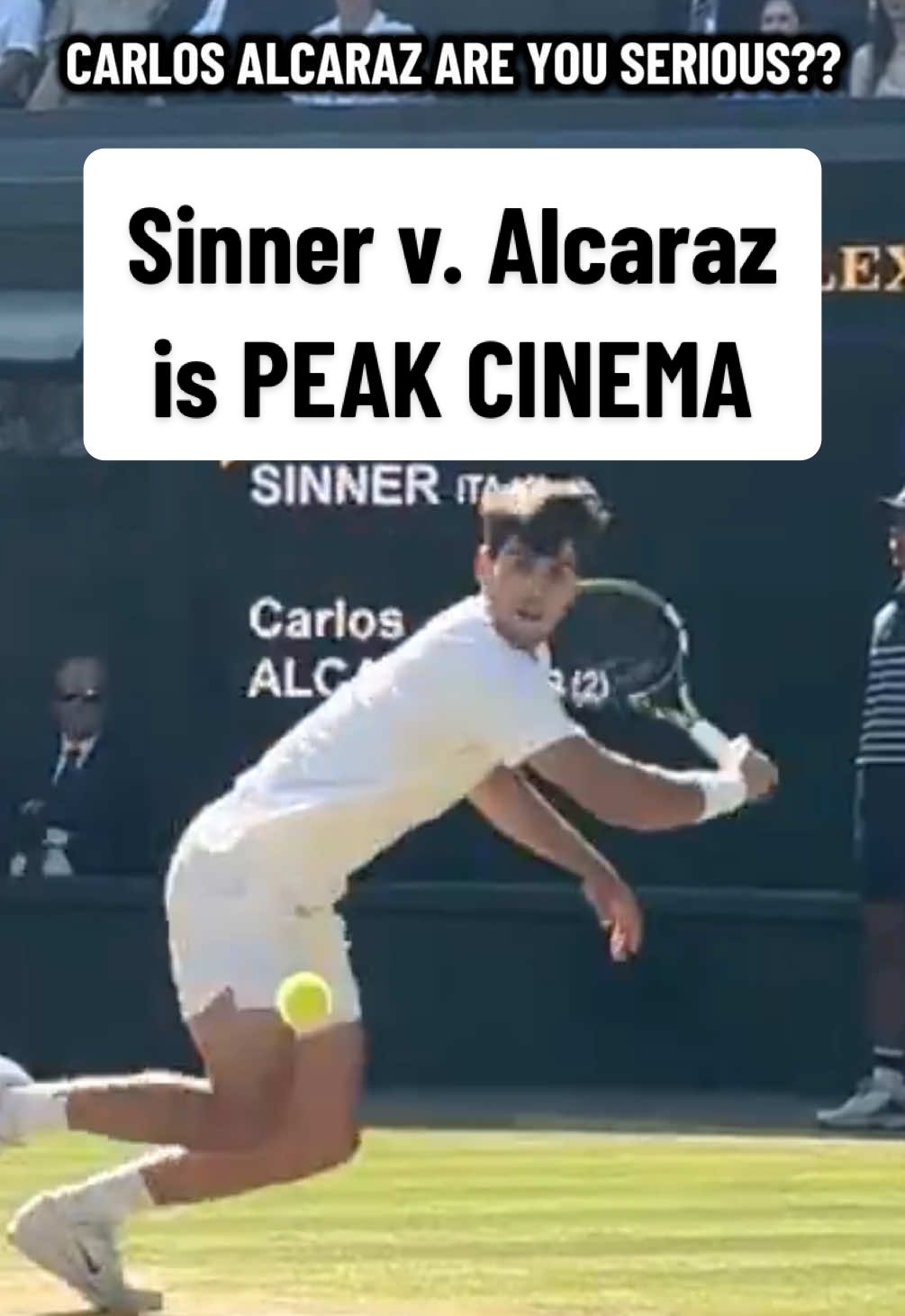 Carlos Alcaraz and Jannik Sinner are giving us pure cinema in Wimbledon ✨ (via @wimbledon) #carlosalcaraz #janniksinner #Wimbledon