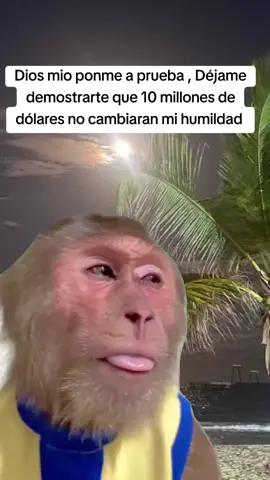 Por favor Dios  #paratii #video #ypfッ  #Meme #MemeCut #CapCut 