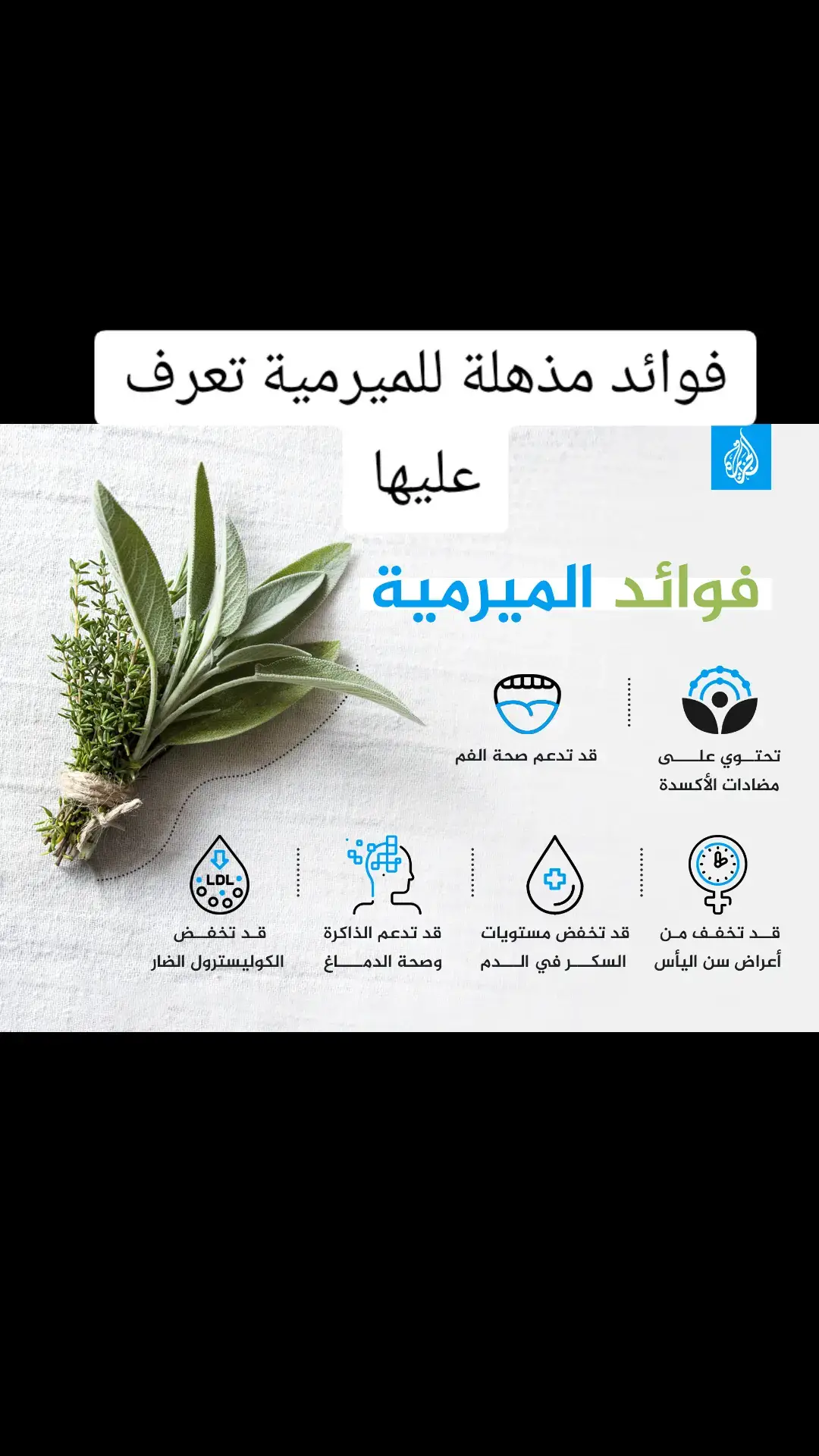 #الميرمية #أعشاب_طبيعية #فوائد_صحية #طبيب_تيك_توك #1580k #fyp 