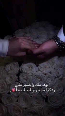 الوعد منك والصبࢪ مني 🥹❤️‍🔥🫂💋#أميري💋♥ #حبيبي🤍💍 #❤️‍🔥🥹🥹🥹🥹🥹❤️‍🔥 #🥹❤️‍🔥🦋💞 