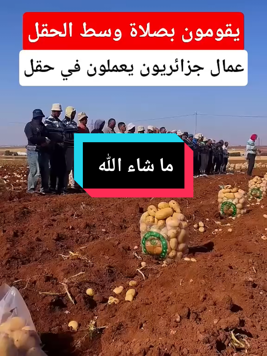 التجارة بالحلال####العمل ####الرزق الحلال#####الجميع 