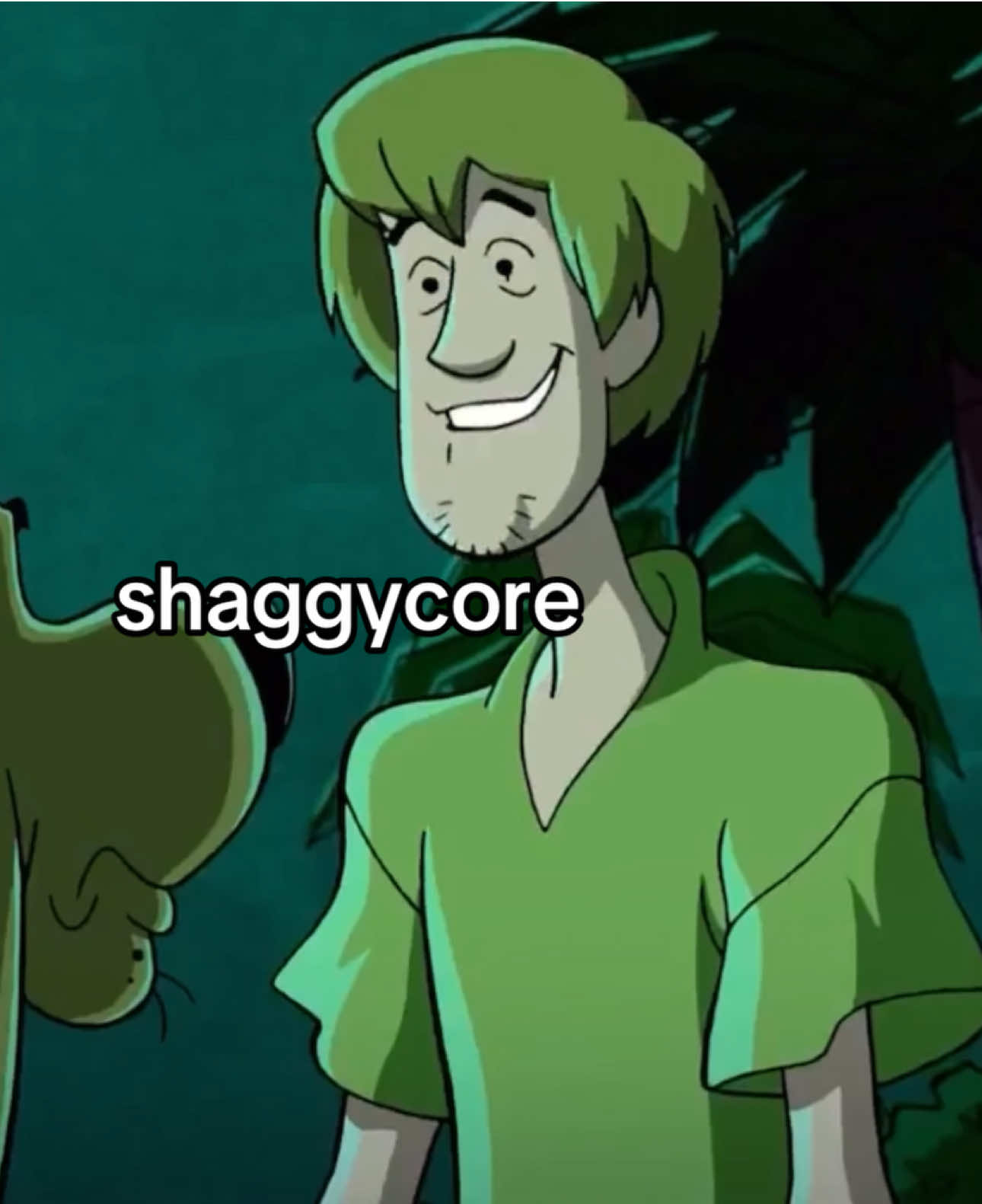 I like him a lot #scoobydoo #scooby #shaggyrogers #shaggy #core 