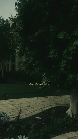 ؟ #fyp #foryou #foryoupage  #fypシ゚viral #fypシ 