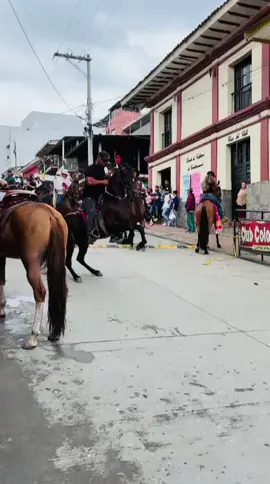 Gallo pinto jala gallina fina 🔥