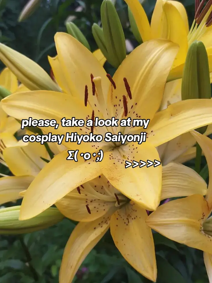Danganronpa (Japanese: ダンガンロンパ; lit. 