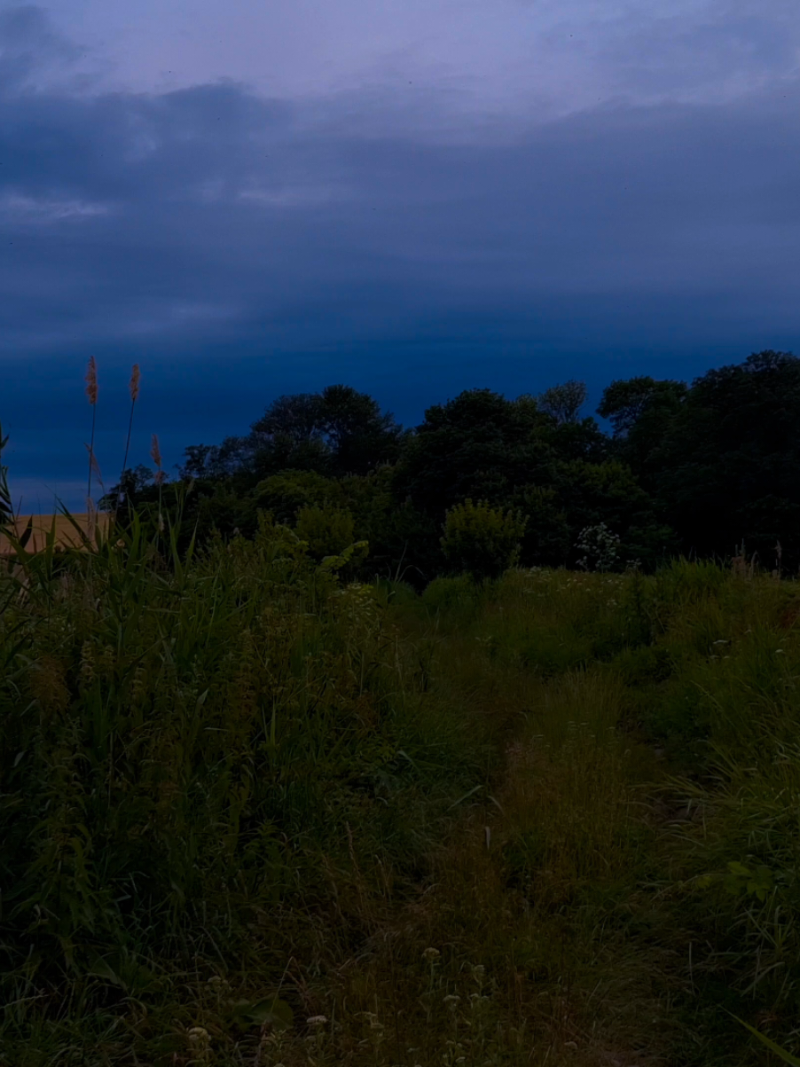 atmospheric place,  dark vibes  #real #fypシ゚ #vibes #рек #atmosphere #darkness 