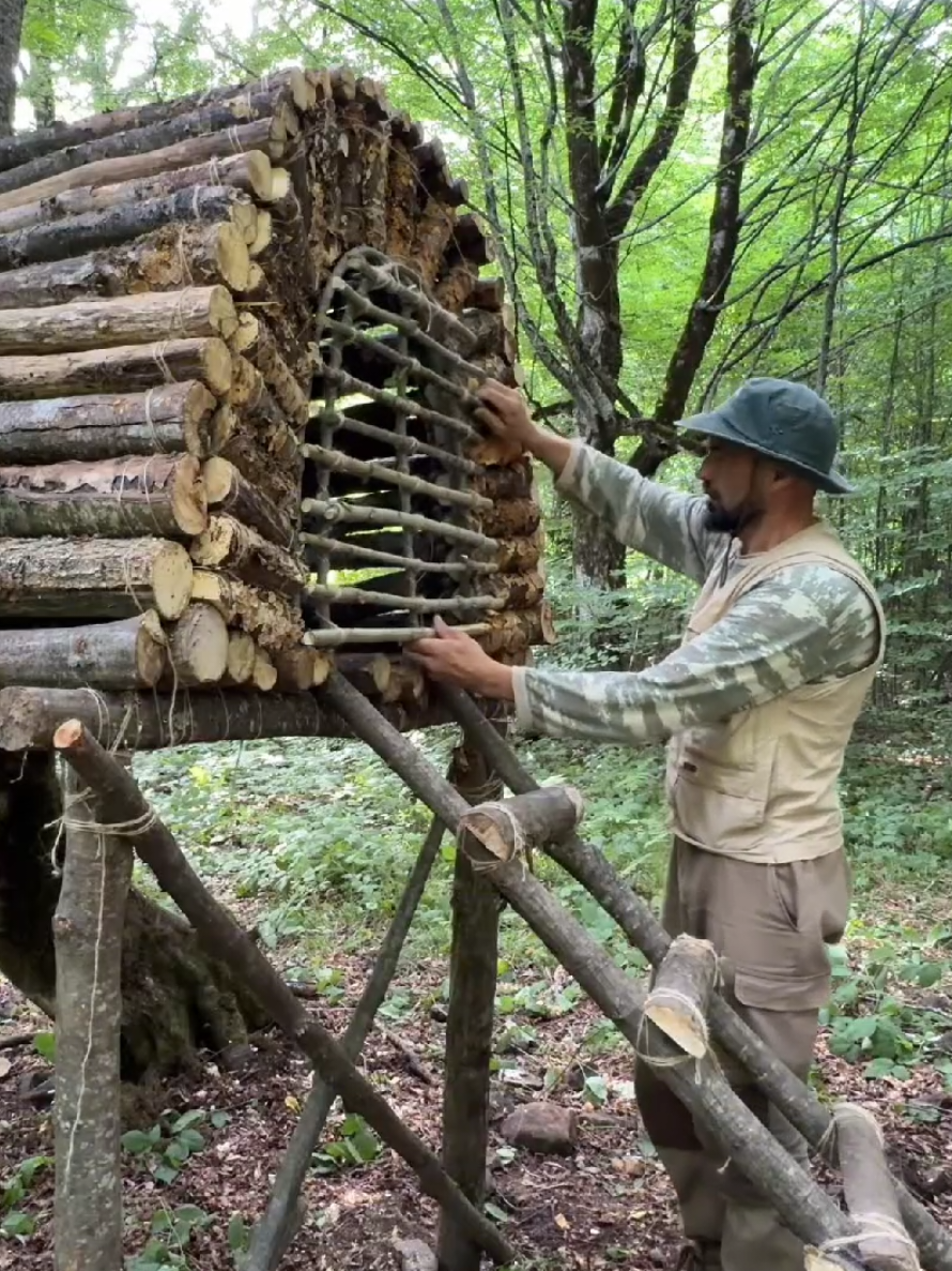 This is how I built an elevated shelter in the jungle to survive and keep away from dangerous wildlife #2025 #camping #travel #Outdoors #discover #foryou #visual #bushcraft 