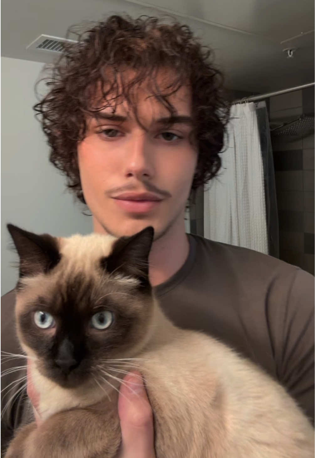 Take 2 #catsoftiktok 