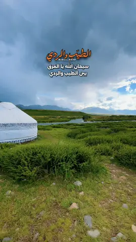 الطيب والردي #محمد_المقحم #قالب #خواطر #شعر #بدون_موسيقى #درر #كلام_من_القلب #كلام_من_ذهب #كلام_في_الصميم #explore #شعراء_وذواقين_الشعر_الشعبي #viral #fyp 