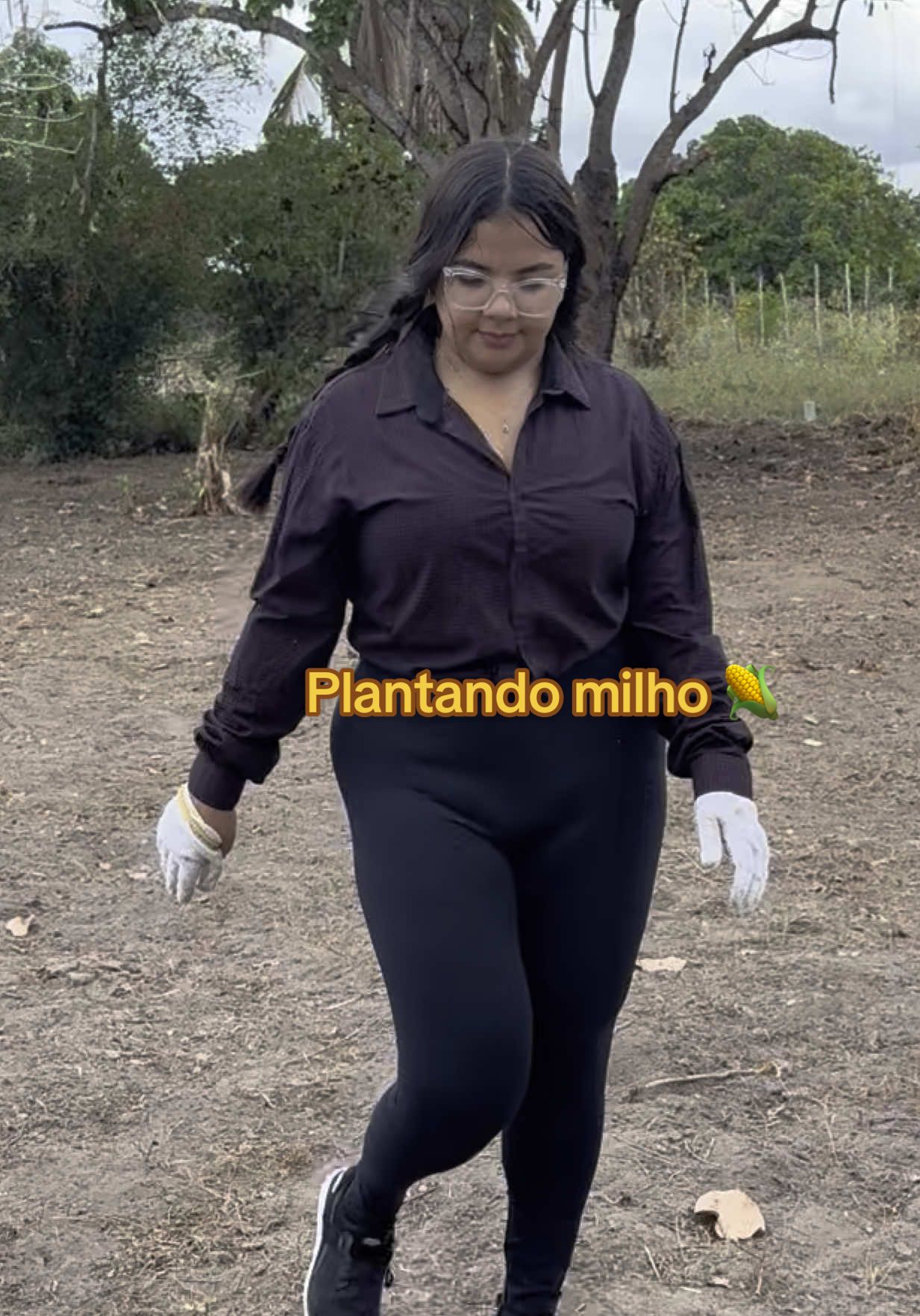 Rotina da roça 