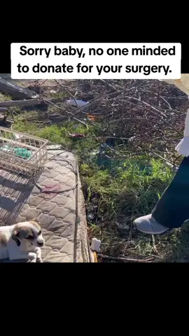 Vicky is fighting a big tumor, I am raising money for her surgery Be a kind soul and donate for her surgery, donate on the link in Bio.#UKTikTok #BritishTikTok #CanadaTikTok #TikTokCanada #USTikTok #AmericanTikTok