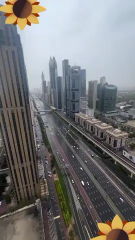 الإمارات العربية المتحدة دامت بفراح