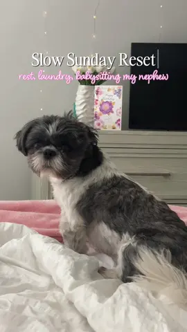Nothing crazy, just rest, laundry, and hanging with my dog nephew 🤍🐾 #sundayreset #softlife #restdayroutine #blackgirlvlog #cozyvibes #dogauntie #lifestylecontent #realisticroutine @So Good So You 🩷