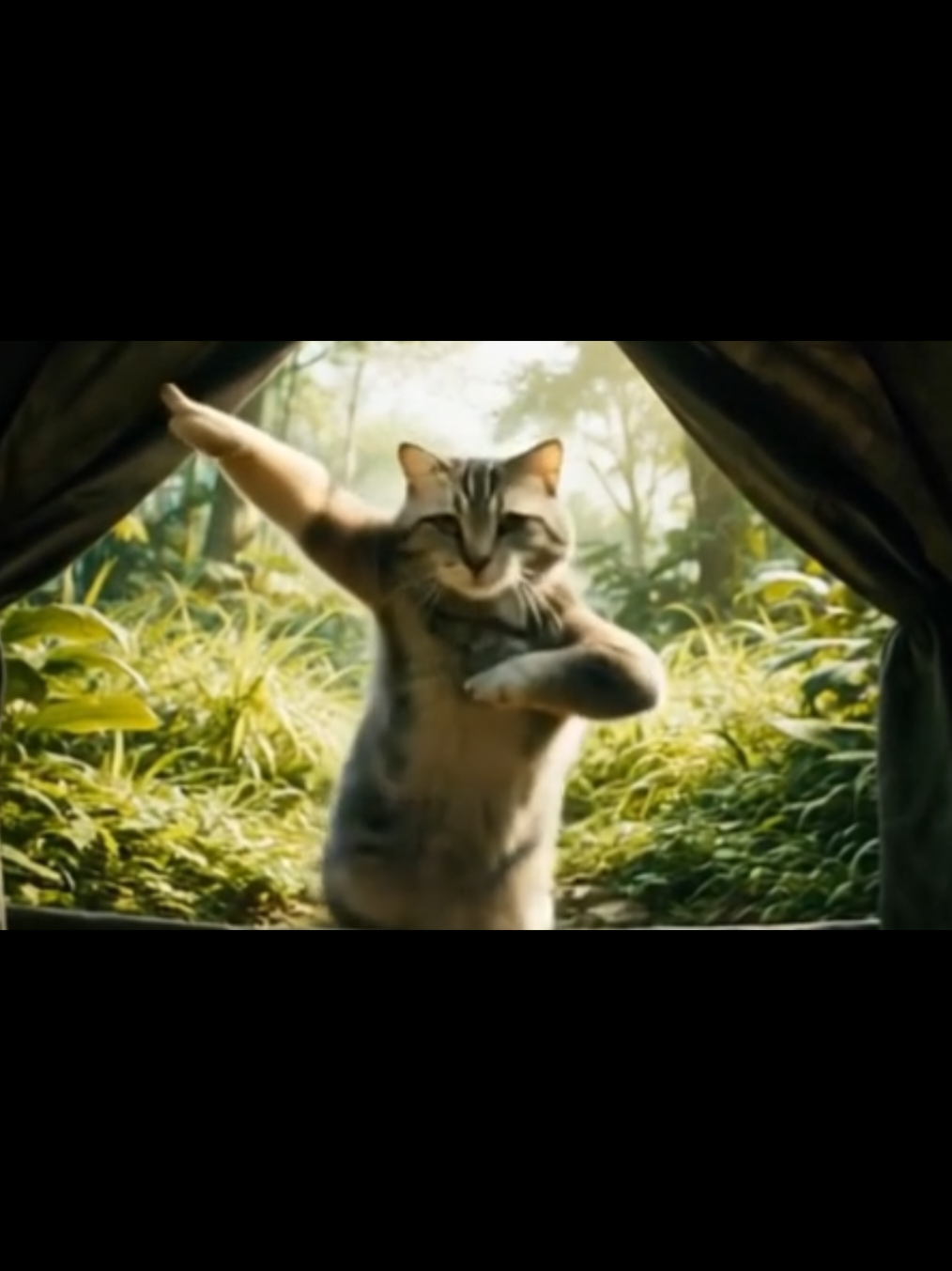 Dancing Katzentanz (Bailando Cat Dance) #cat #tanz #dance  #katzentanz  #catdance  #bailando #bailandokatzentanz #bailandocatdance #katzenvideos #funnycat #funnycats #bestoftheday #viral #viralvideos #fy #fyp #fyppp #foryou #foryoupage #fypage #foryour #foru #foruyou #forupage #lustig #witzig #lustigevideos 