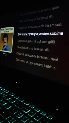 Seni yazdım kalbime❤️🍓 . . . . . . #müslüm #gürses #seniyazdım #sarkı #lyrics #sevgilim #seni #enderine #yazdım 