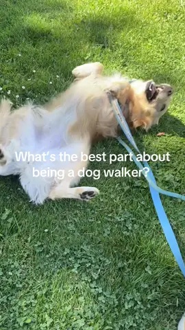 Just a girl who loves dogs, is that okay with you? 😭