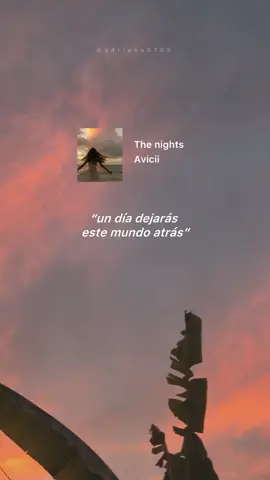 The nights- Avicii #avicii #thenights #subespañol #fyp #lyricsvideo #letter #buenavibra #lyric #letras #paratii #foryou #fy 