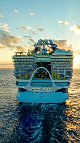 You and your PTO deserve this 🤝 #IconoftheSeas #RoyalCaribbean #cruise #vacation #travel #traveltok #cruisetok