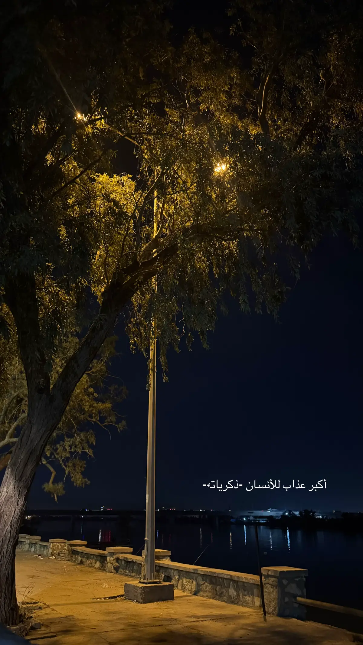 #تصويري📷 #لايك_متابعه #تفاعلكم_لايك_متابعه_اكسبلوررررراexplore #تفاعلوا_لايك_فولو_اكسبلوور #ستوريهات #البصرةة #ماليخلق_احط_هاشتاقات #شعراء_وذواقين_الشعر_الشعبي🎸 #شعراء_الجنوب #ليل 