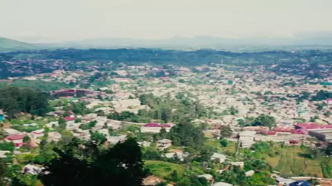 #personaltrainer #bestcoachever #training 