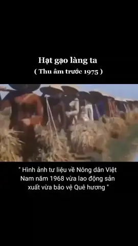 # Hạt gạo làng ta 