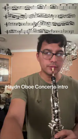 Putting out the Haydn again for fun, cheers to 300 view jail! #oboe #musician #oboist #fyp 