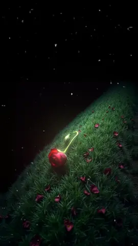 الـــشيخ الزين 🧡 #شيخ_الزين #قران #قران_كريم #الشيخ_نورين_محمد_صديق_رحمه_الله 